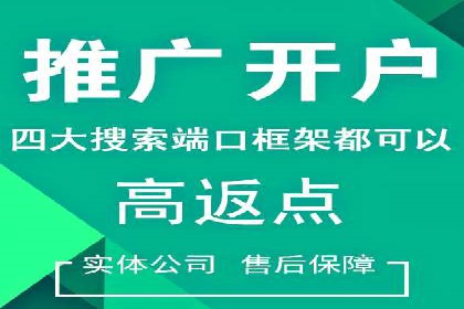 行业新秀的关键词竞价排名之路：快速崛起的案例